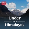 Under the Himalayas artwork