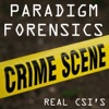 Paradigm Forensics - Real CSI's artwork