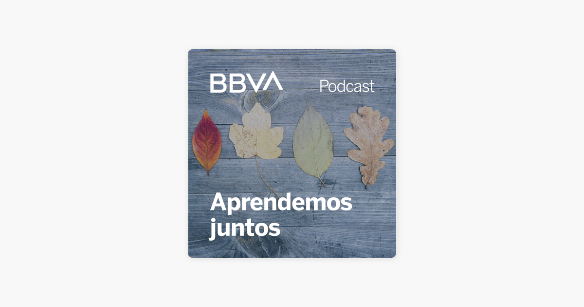 Aprendemos Juntos Bbva