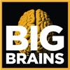 Big Brains artwork