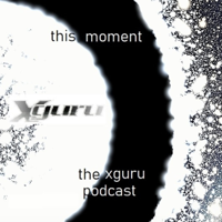 This Moment: The Xguru Podcast podcast