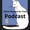 Chico (Hospital for) Cats Podcast artwork