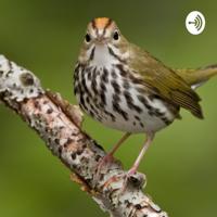 Poetry To Go podcast
