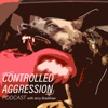 Controlled Aggression artwork