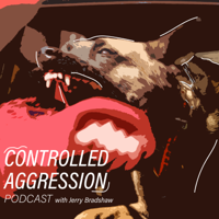 Detection Topics with Cameron Ford & Canine Paradigm