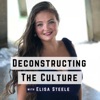 Deconstructing the Culture with Elisa Steele artwork