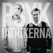 Psykiatrikerna - Anders Hansen och Simon Kyaga