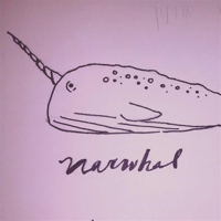 Cosmic Narwhal Podcast podcast