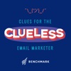 Clues for the Clueless Email Marketer artwork