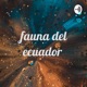 fauna del ecuador  (Trailer)