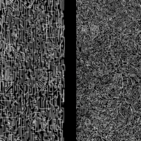 AP 21 06 21