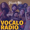 Vocalo Radio artwork