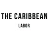 Labor: A Podcast by The Caribbean (DC) artwork