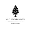 Wild Research Bites - a podcast from SLU artwork