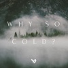 Why So Cold? artwork