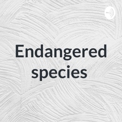 Endangered species 