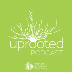 Uprooted Episode 50 - State Climate Referenda