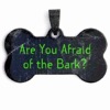 Are You Afraid of the Bark? artwork