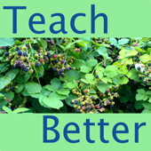 The Teach Better Podcast - Doug McKee and Edward O'Neill