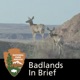Badlands in Brief