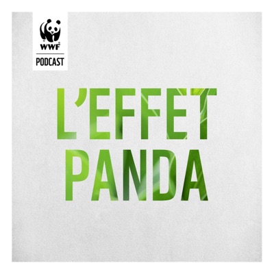 L'Effet Panda L'Effet Panda