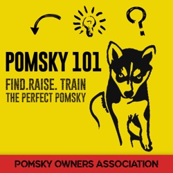 Pomsky 101 Podcast - Pomsky Owners Association Podcast