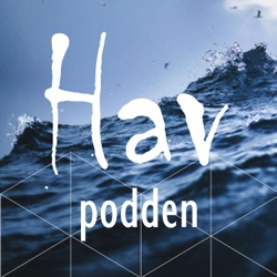 Havpodden