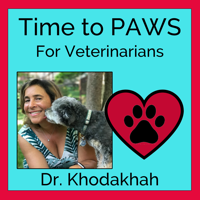 VETgirl Advice with Dr. Justine Lee
