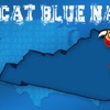 Wildcat Blue Nation's Podcast artwork