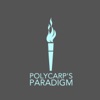 Polycarp's Paradigm artwork