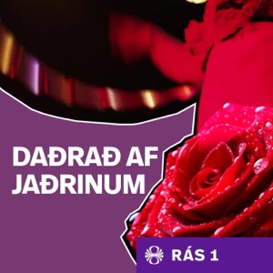 Það sem ekki má