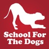 How To Train Your Dog With Love And Science - Dog Training with Annie Grossman, School For The Dogs artwork