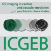 US Imaging in cardiac and vascular medicine: from pre-clinical to clinical studies  artwork