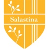 Salastina: Sounds Interesting artwork