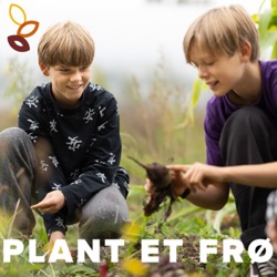 Plant et Frø - helhedsorienteret naturdannelse og naturbaseret trivsel