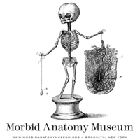 The Morbid Anatomy Transmission podcast