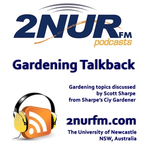 Insects that help in the garden - 13 July 2020
