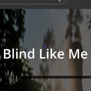 Shilo Bellis totally blind radio announcer
