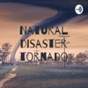 Natural disaster tornado artwork
