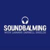 SoundBalming with Dr. LaMarr Darnell Shields artwork