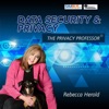 Data Security and Privacy with the Privacy Professor artwork