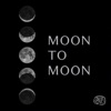 Moon to Moon artwork