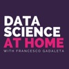 Data Science at Home artwork