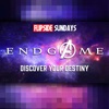 Endgame: Discover Your Destiny artwork