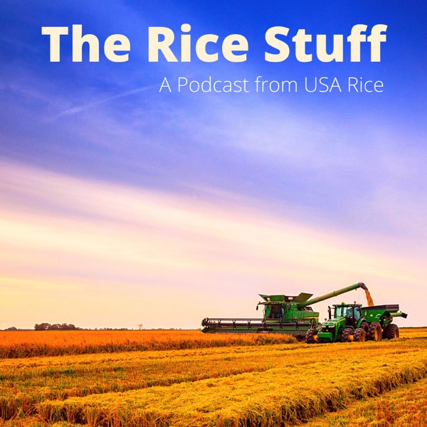 The Rice Stuff Artwork