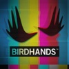 Birdhands artwork