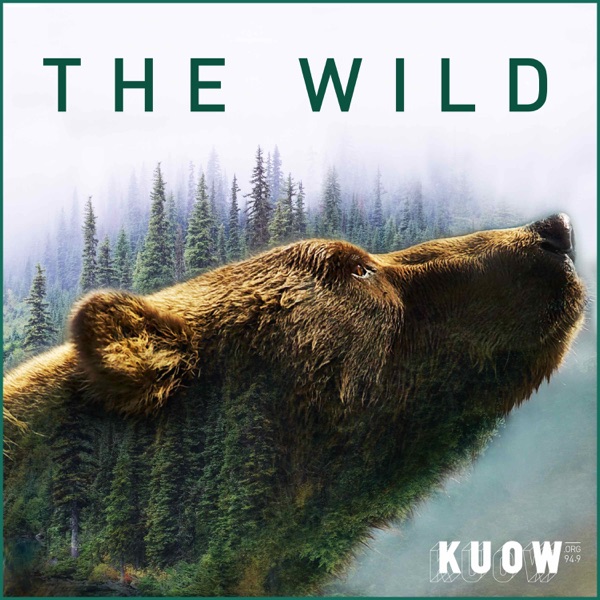 The Wild The Wild