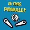 Is This Pinball? artwork