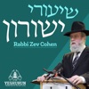 Shiurei Yeshurun - Rabbi Zev Cohen artwork