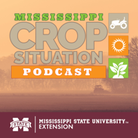Mississippi Crop Situation Podcast podcast